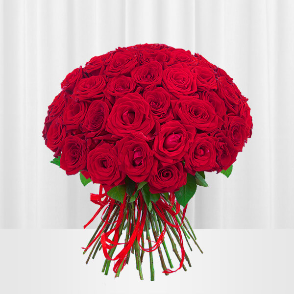 Raudonos rožės 3